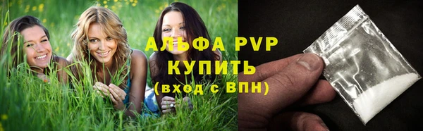 ПСИЛОЦИБИНОВЫЕ ГРИБЫ Алексеевка
