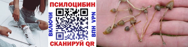 Галлюциногенные грибы мицелий  купить закладку  Комсомольск 
